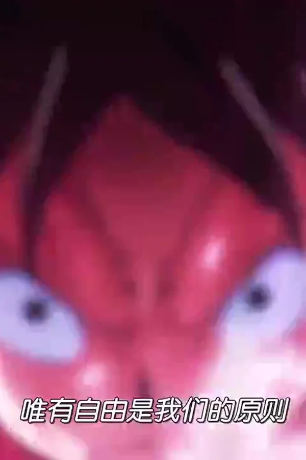航海王鱼人岛篇特别编辑版