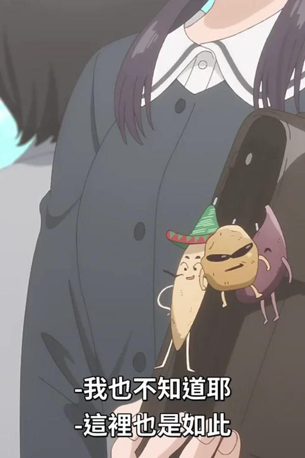 为你着迷动画版