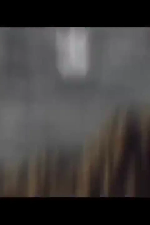 野生的最终BOSS出现了！