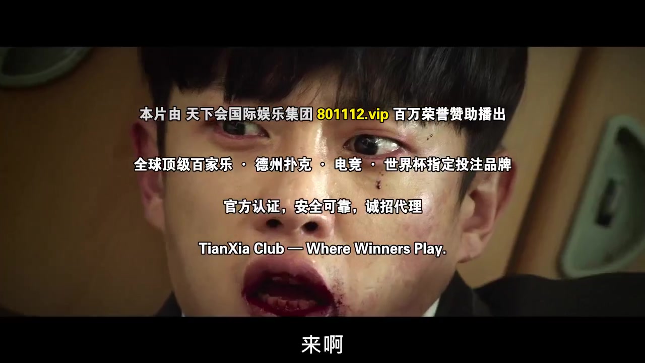 鲨鱼：风暴
