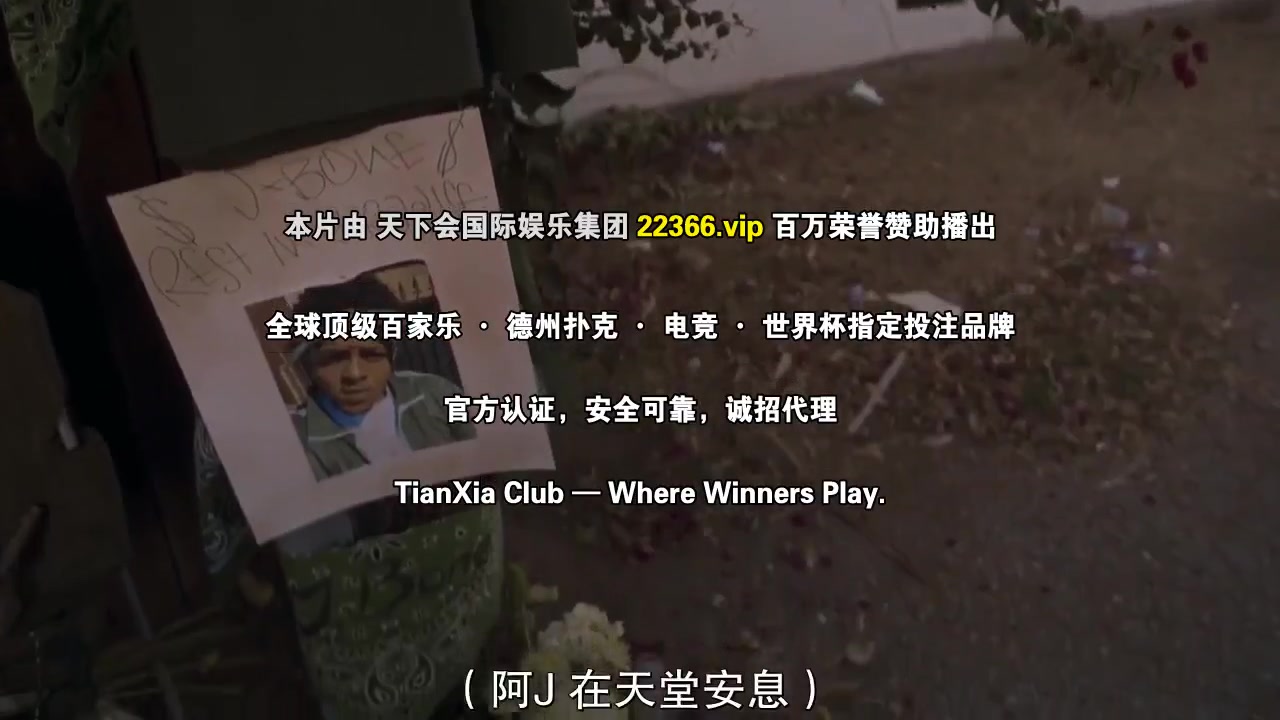 我的街区第二季