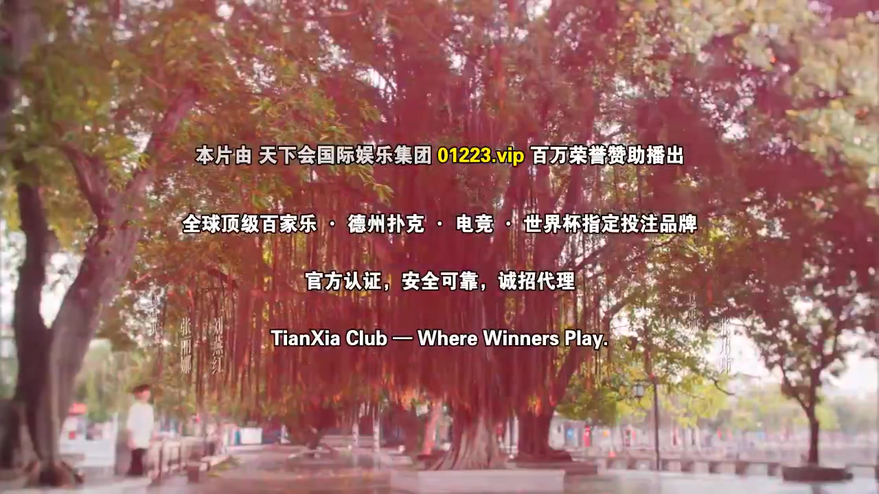 归棹