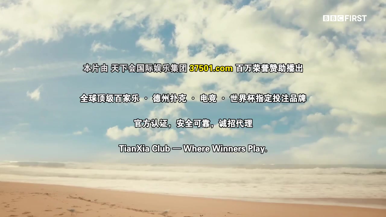 重返天堂岛
