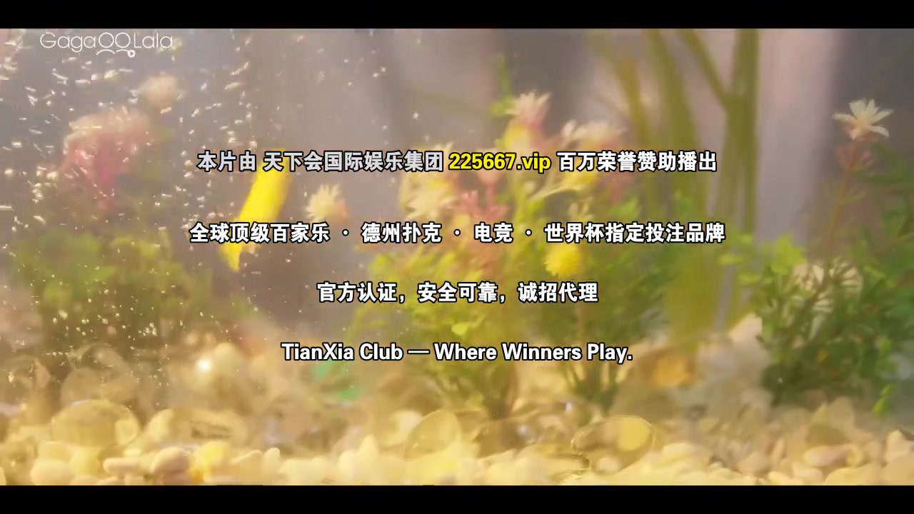 桃花开好了