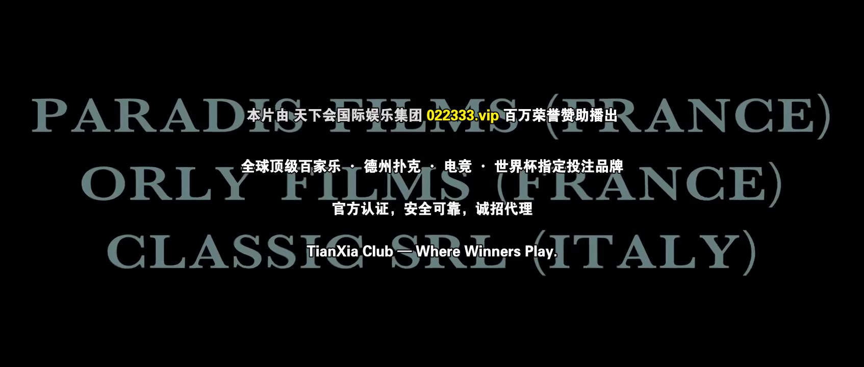 2046粤语