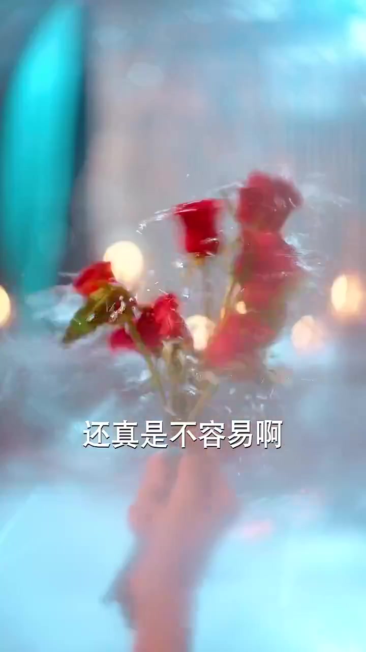 贬后为妃我卸戎装玩转宫斗