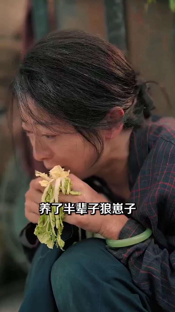 重生七零高歌猛进