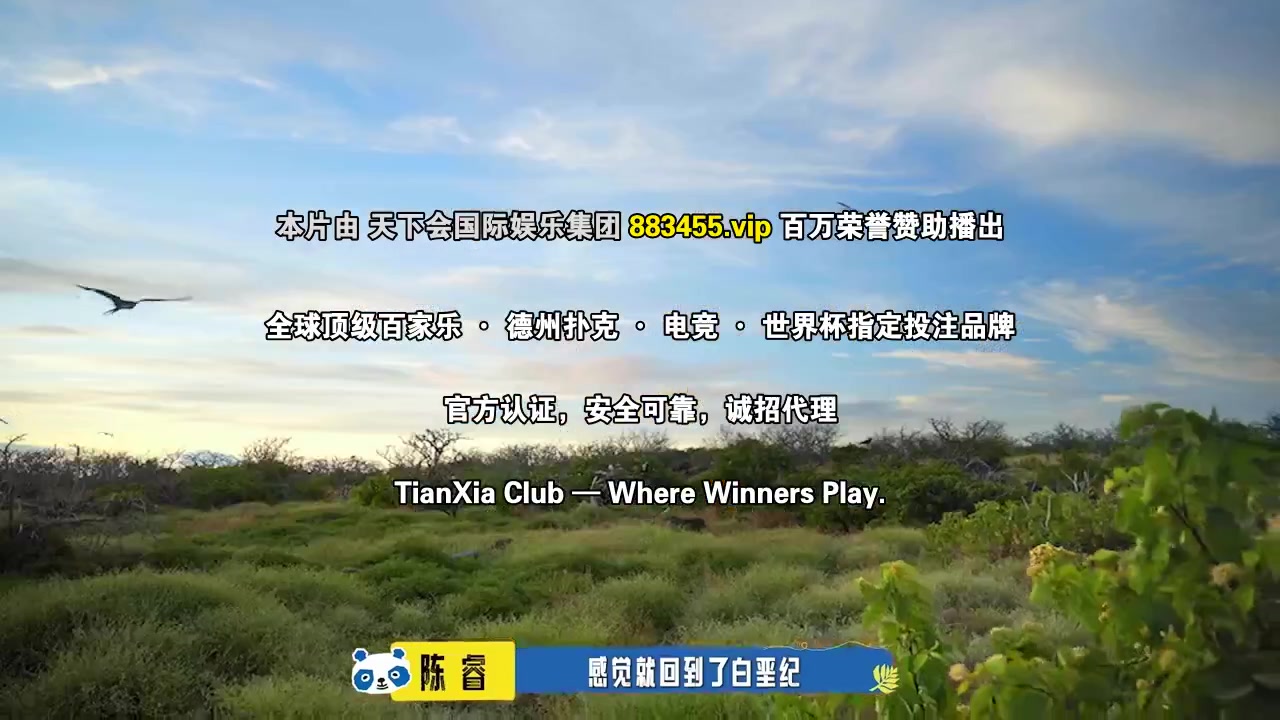 这里没信号