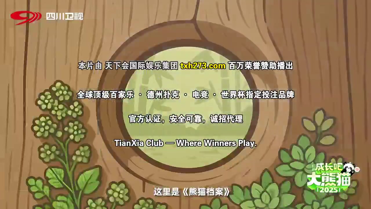 成长吧！大熊猫2025
