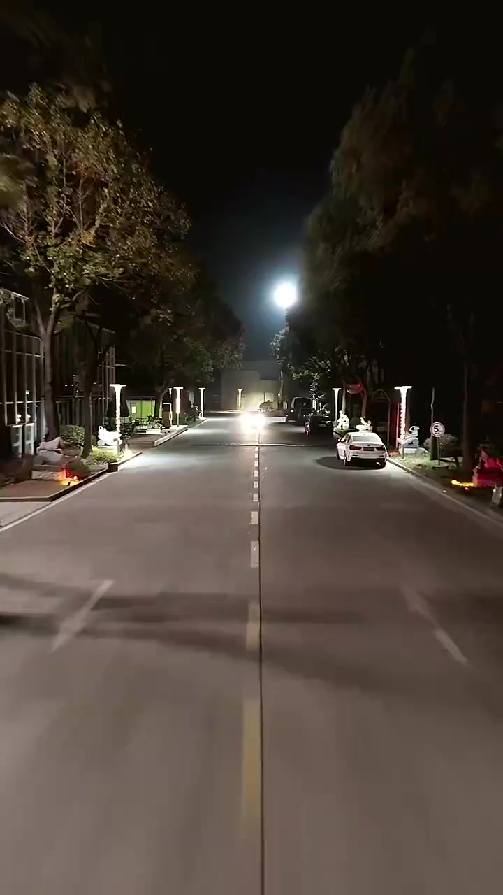 一梦枕星河