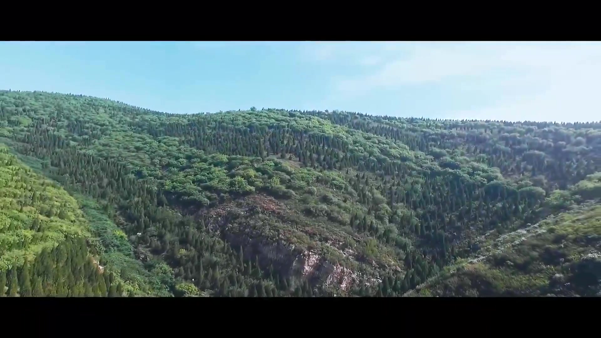 做局