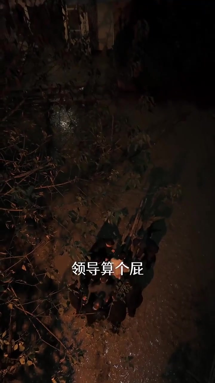 家里家外
