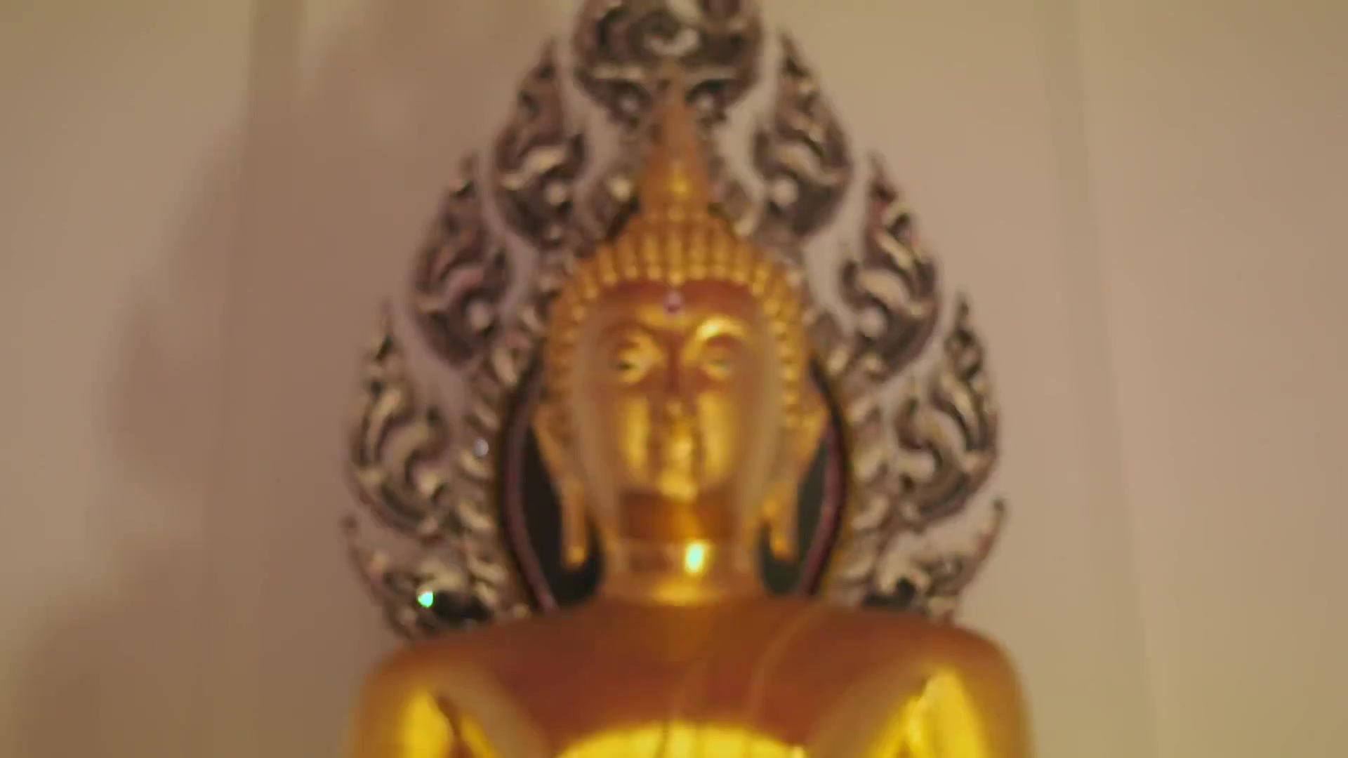多年后的全家福