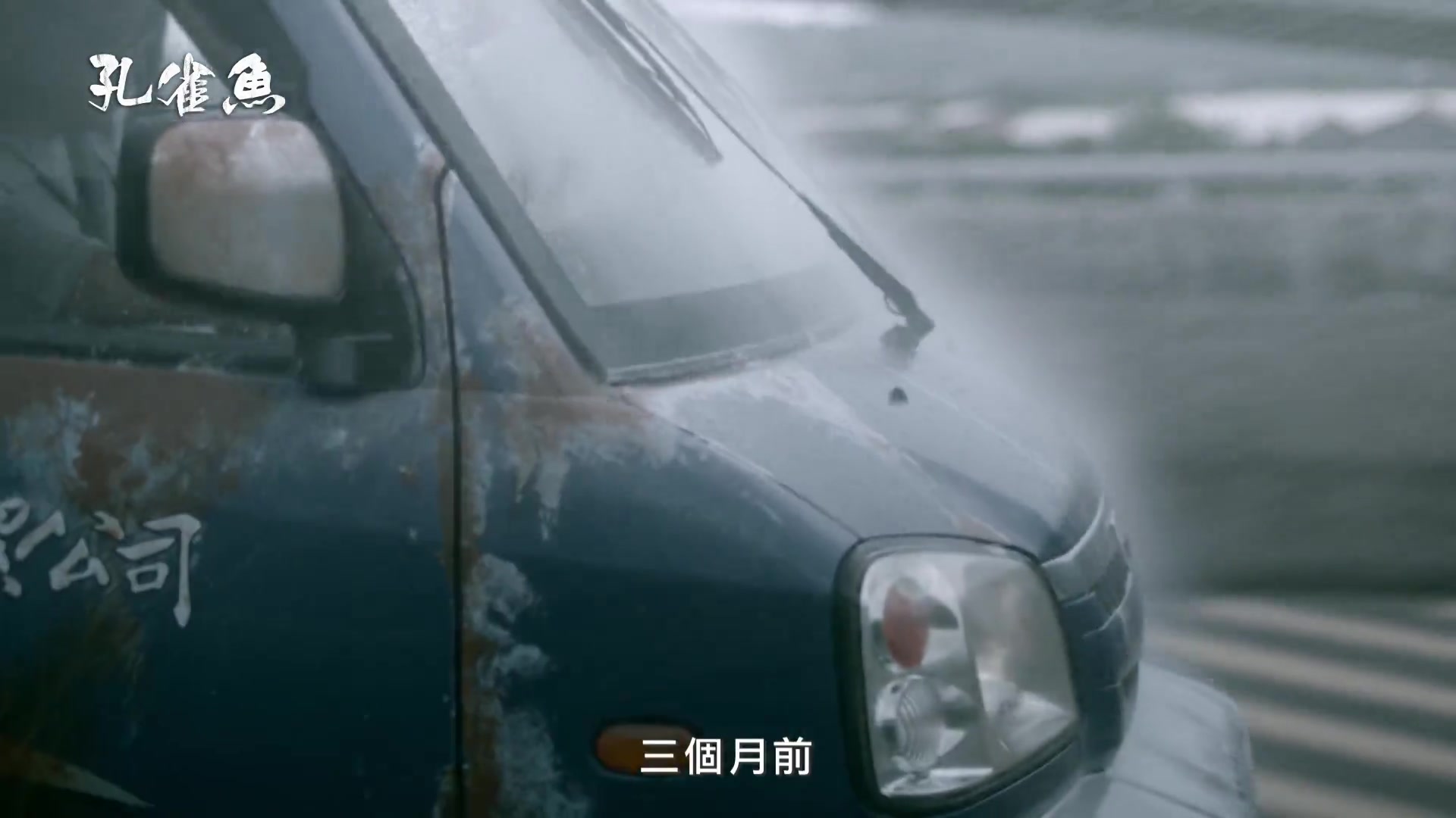 孔雀鱼