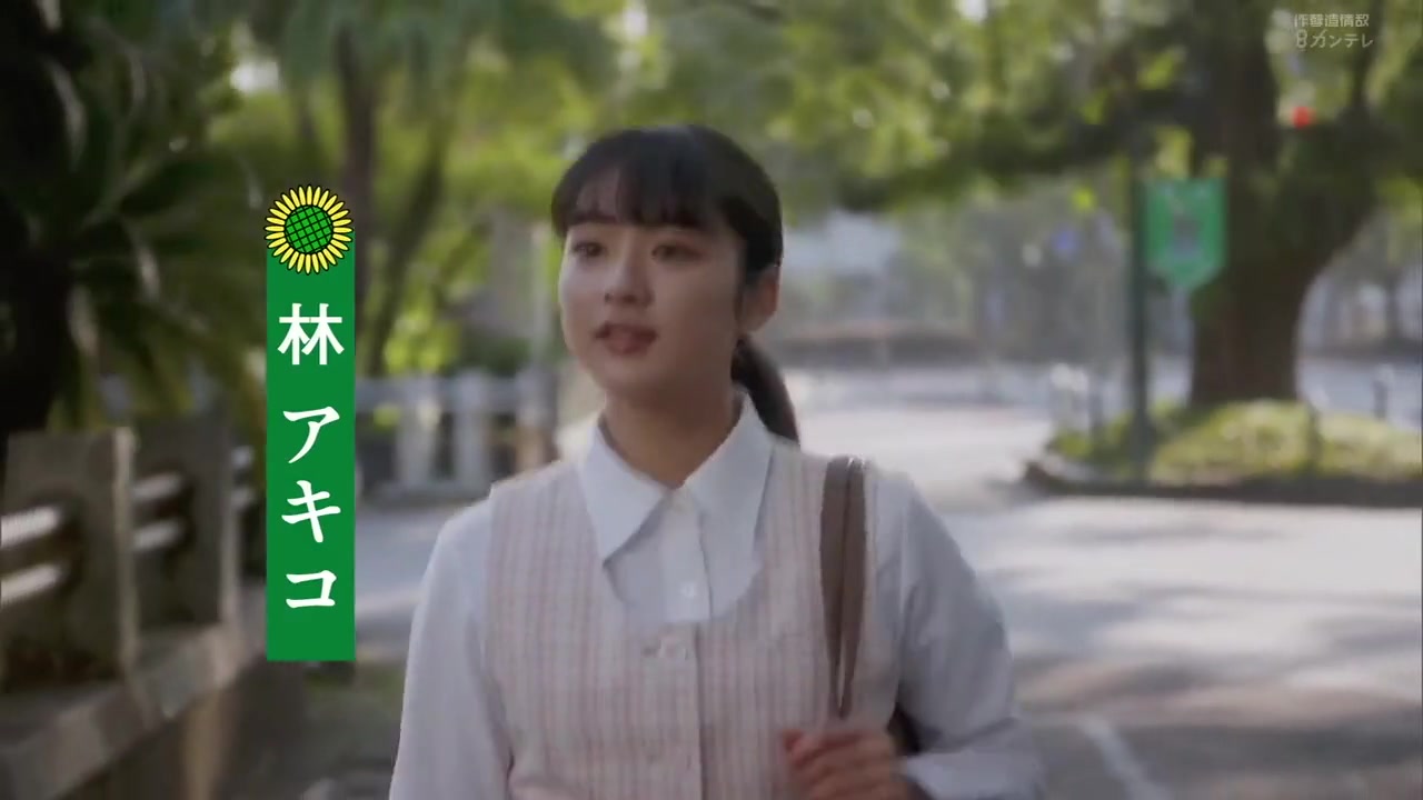 向日葵：宫崎传奇