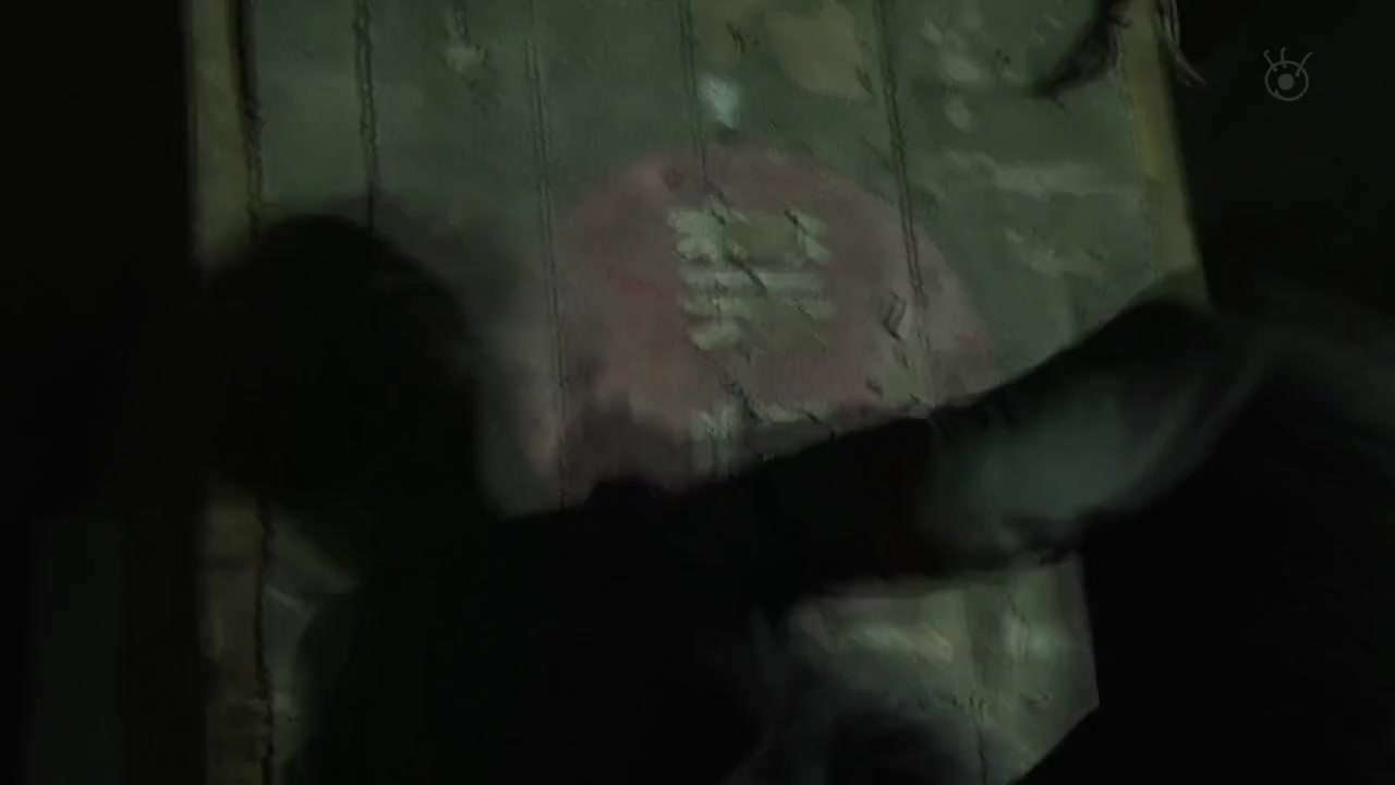 龙道 双面复仇者