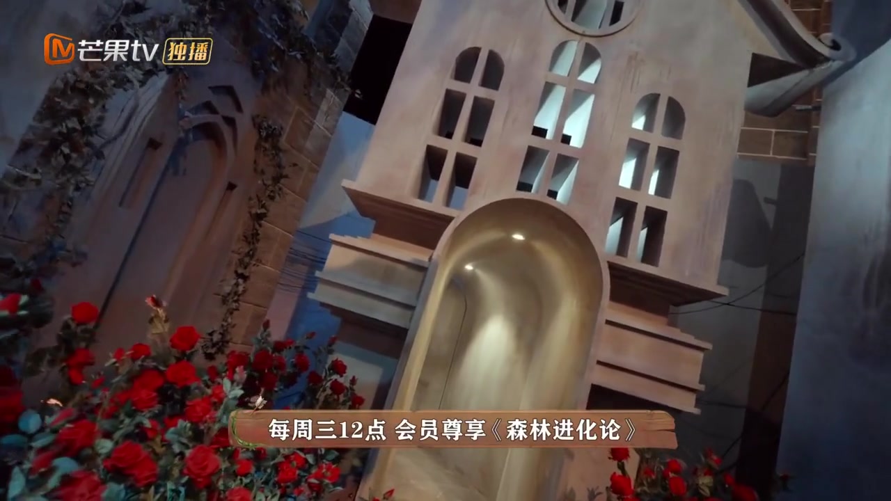 森林进化论