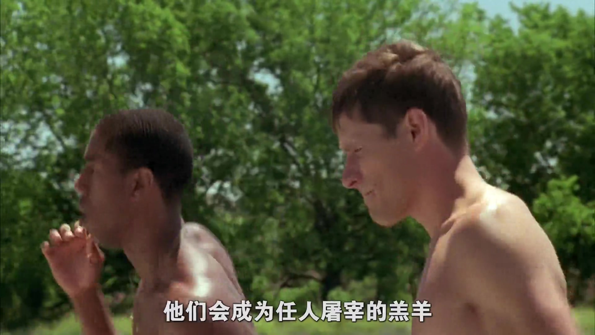 胜利之光 第五季