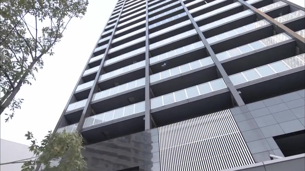 家族的形式