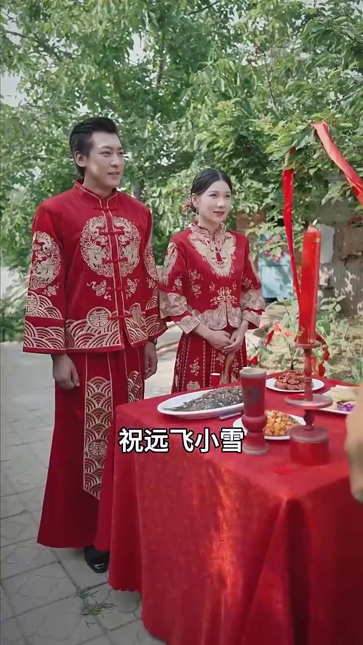 精忠报国