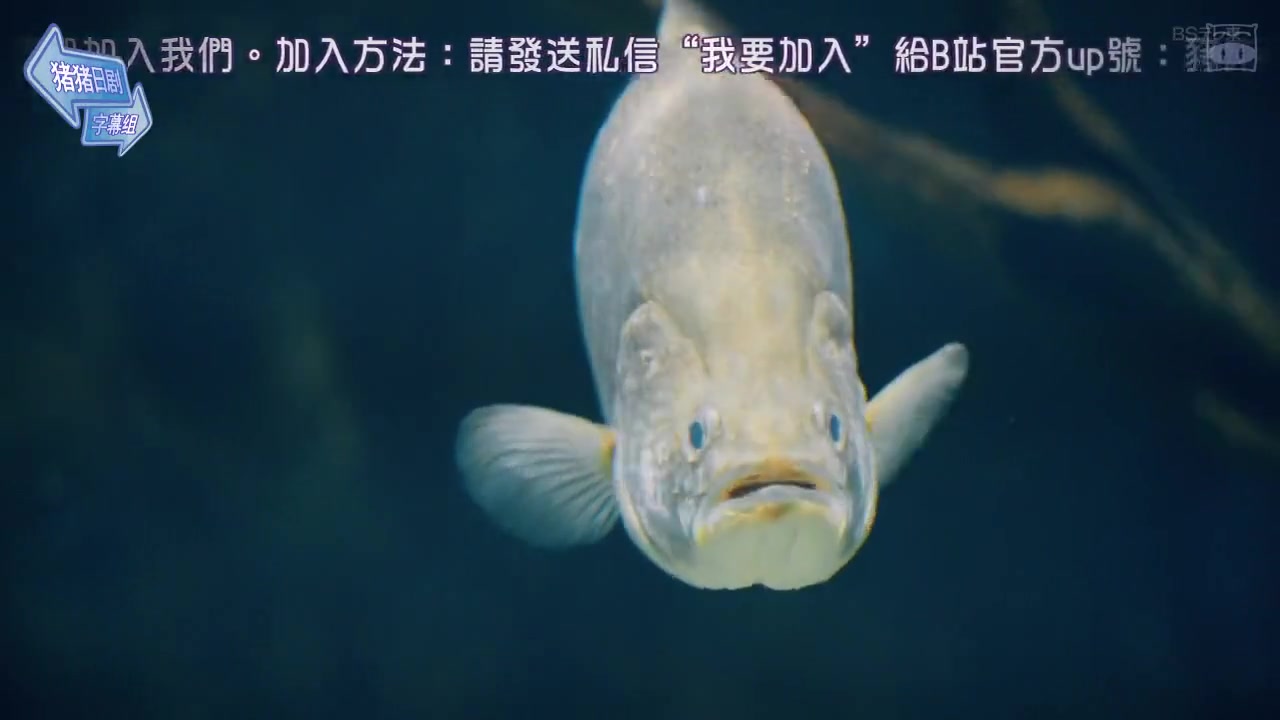 东京女子会
