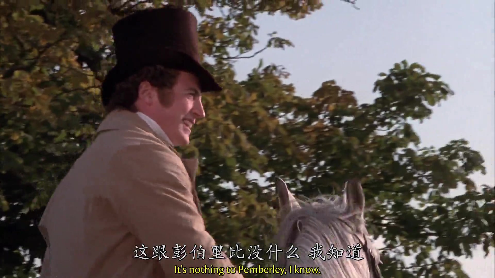 傲慢与偏见1995