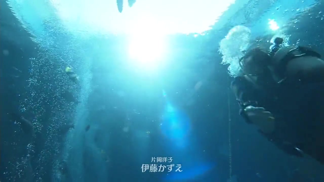 总觉得邻家更幸福