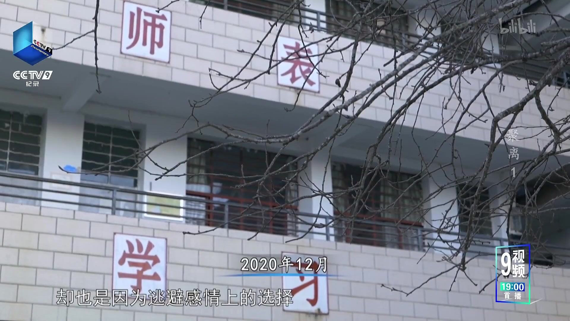 聚离