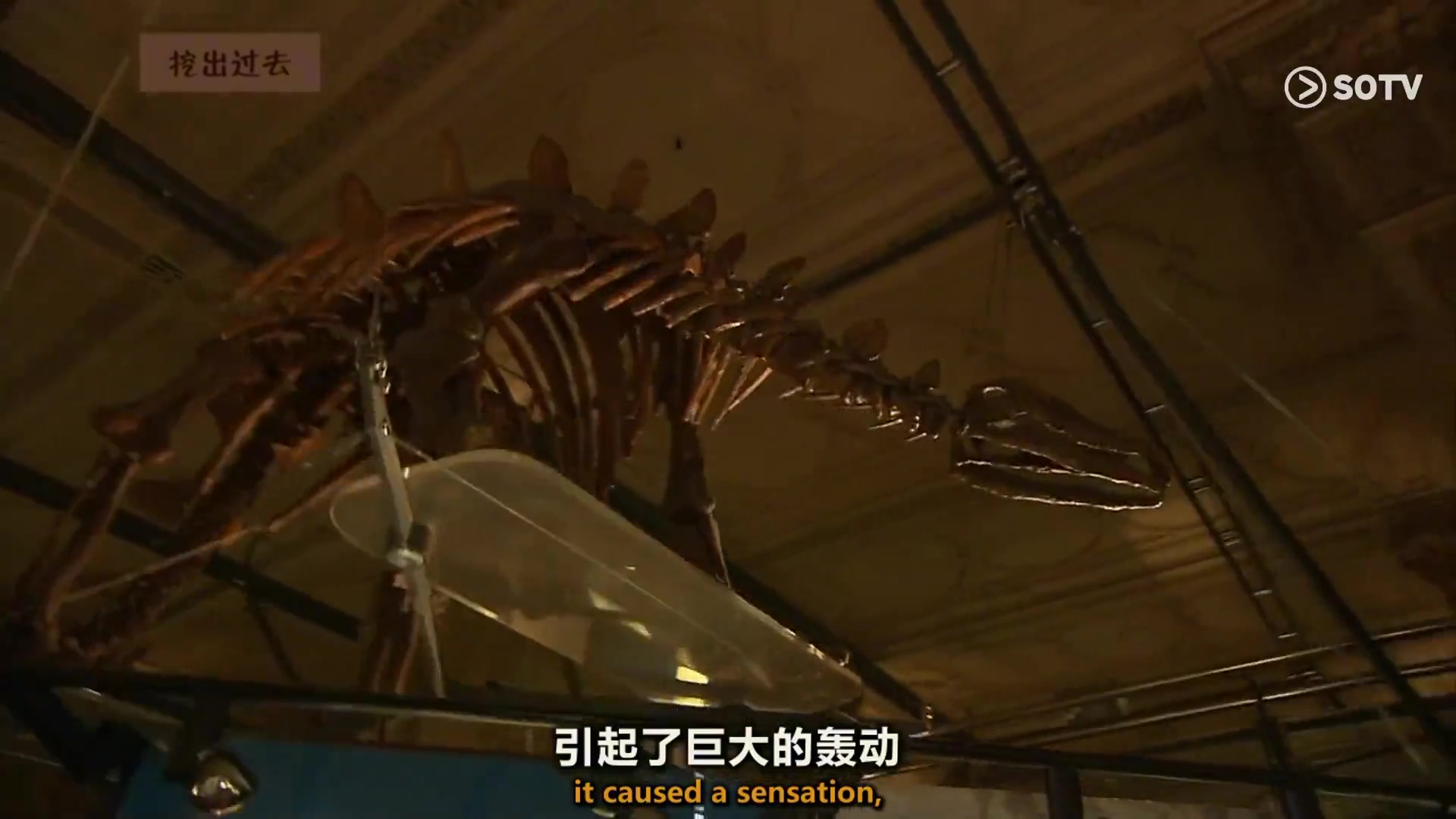生命博物馆