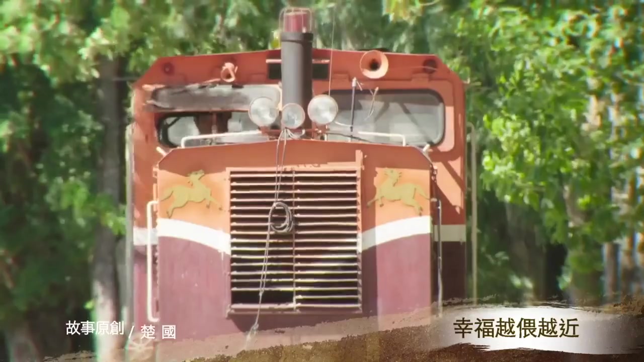 罗雀高飞