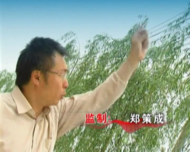 烟灰缸之谜