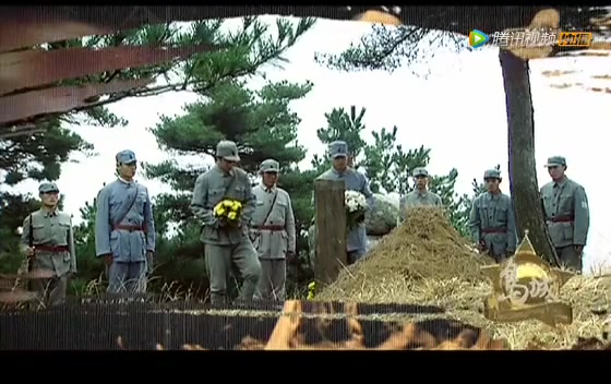 岛城风云