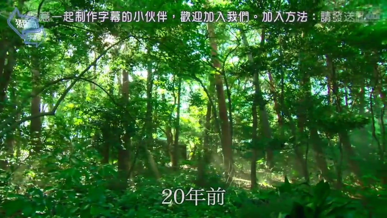 重要证人侦探