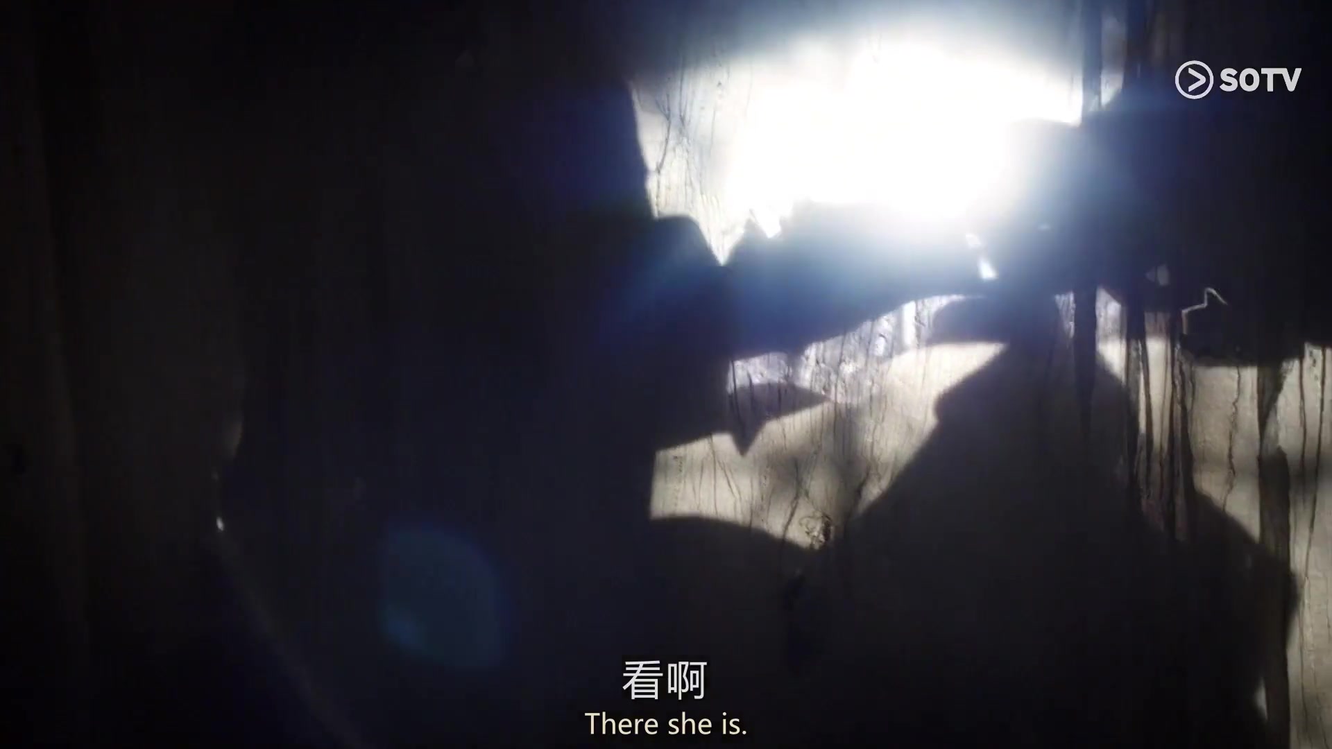 小杜丽