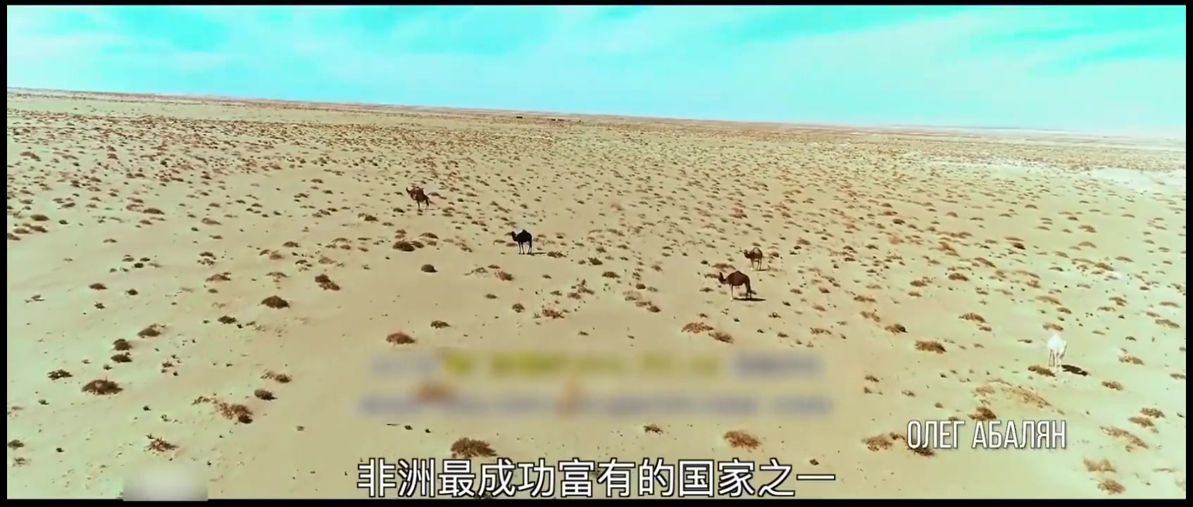舒加利