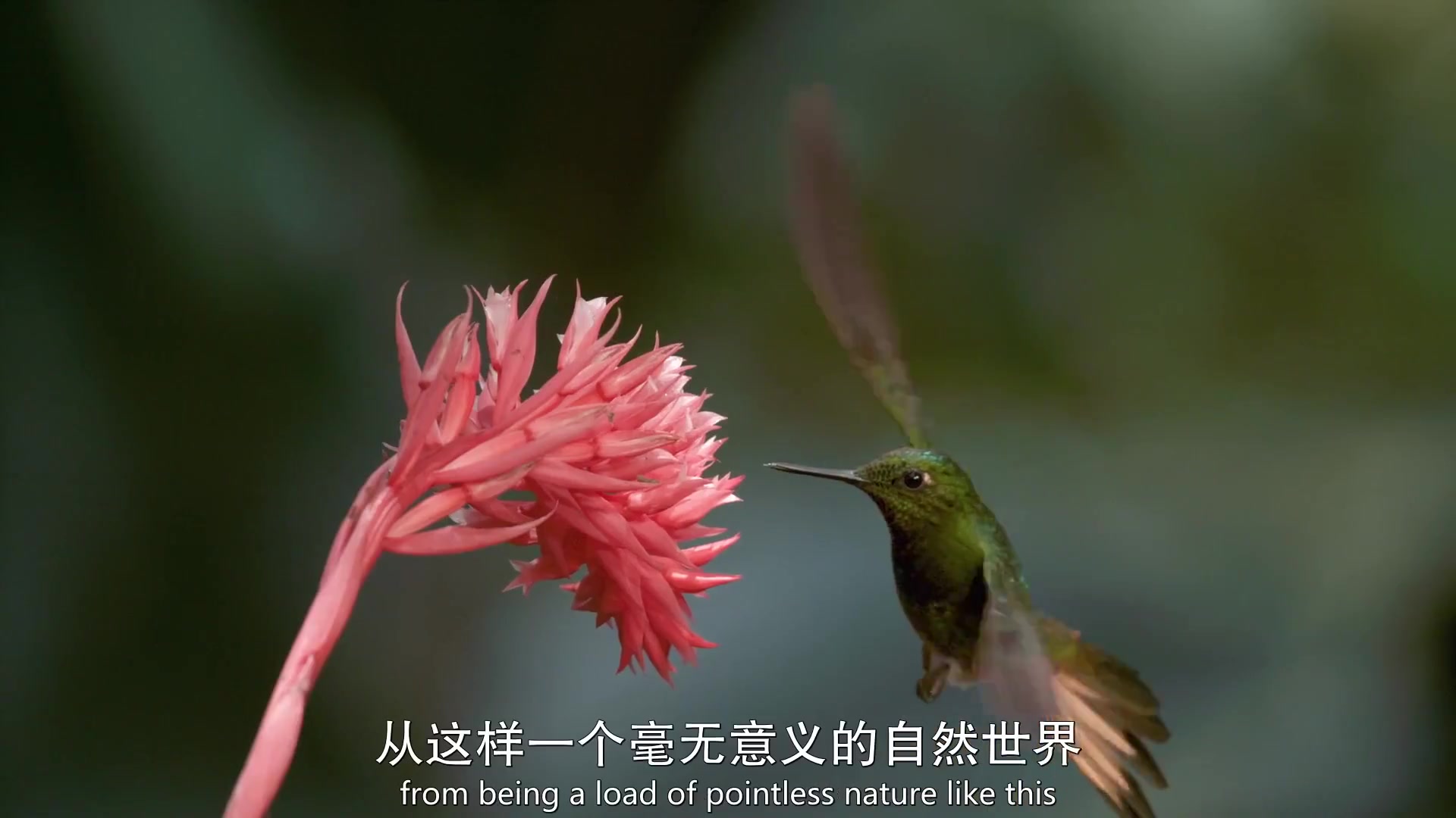 扯淡地球史