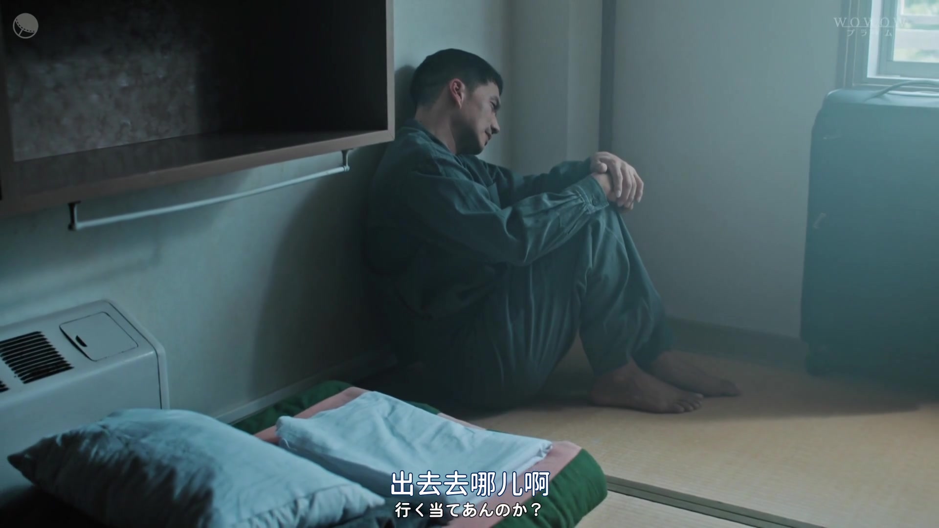 双面骗子虚假警察第二季