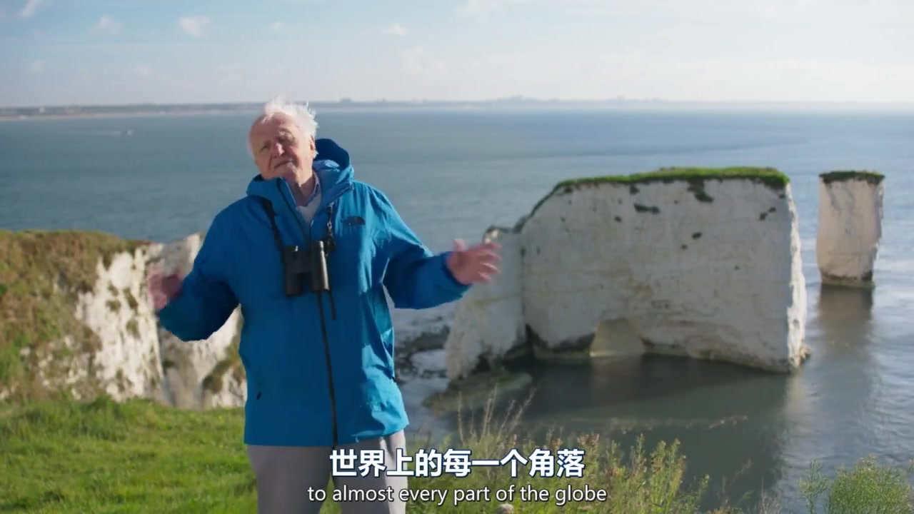 野性英伦