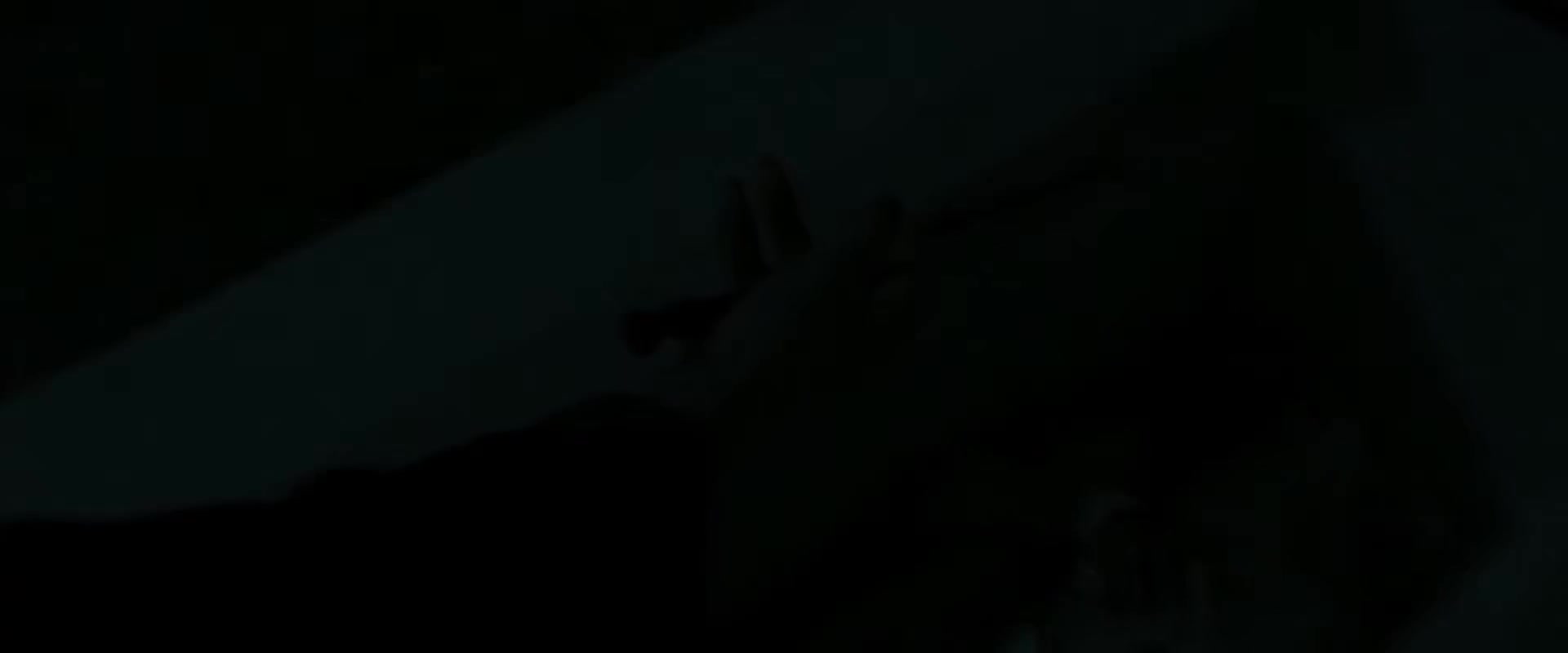 哈利·波特与死亡圣器(下)