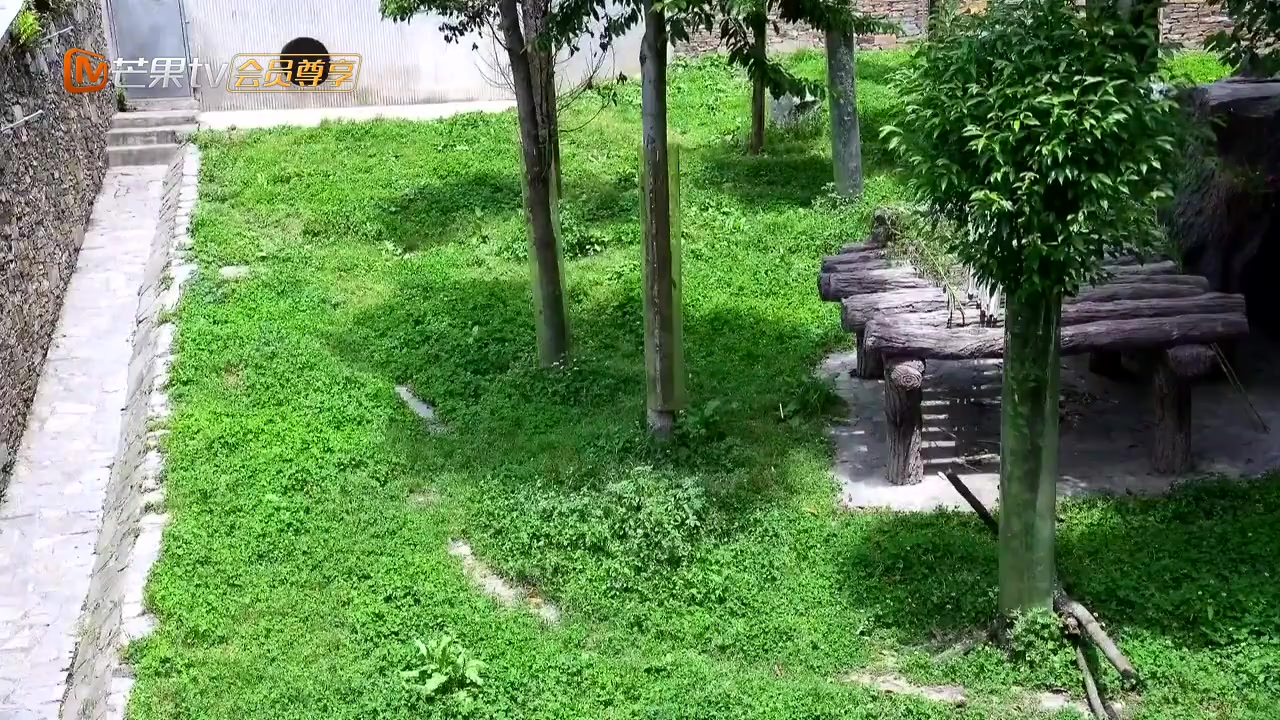 胖达直播间