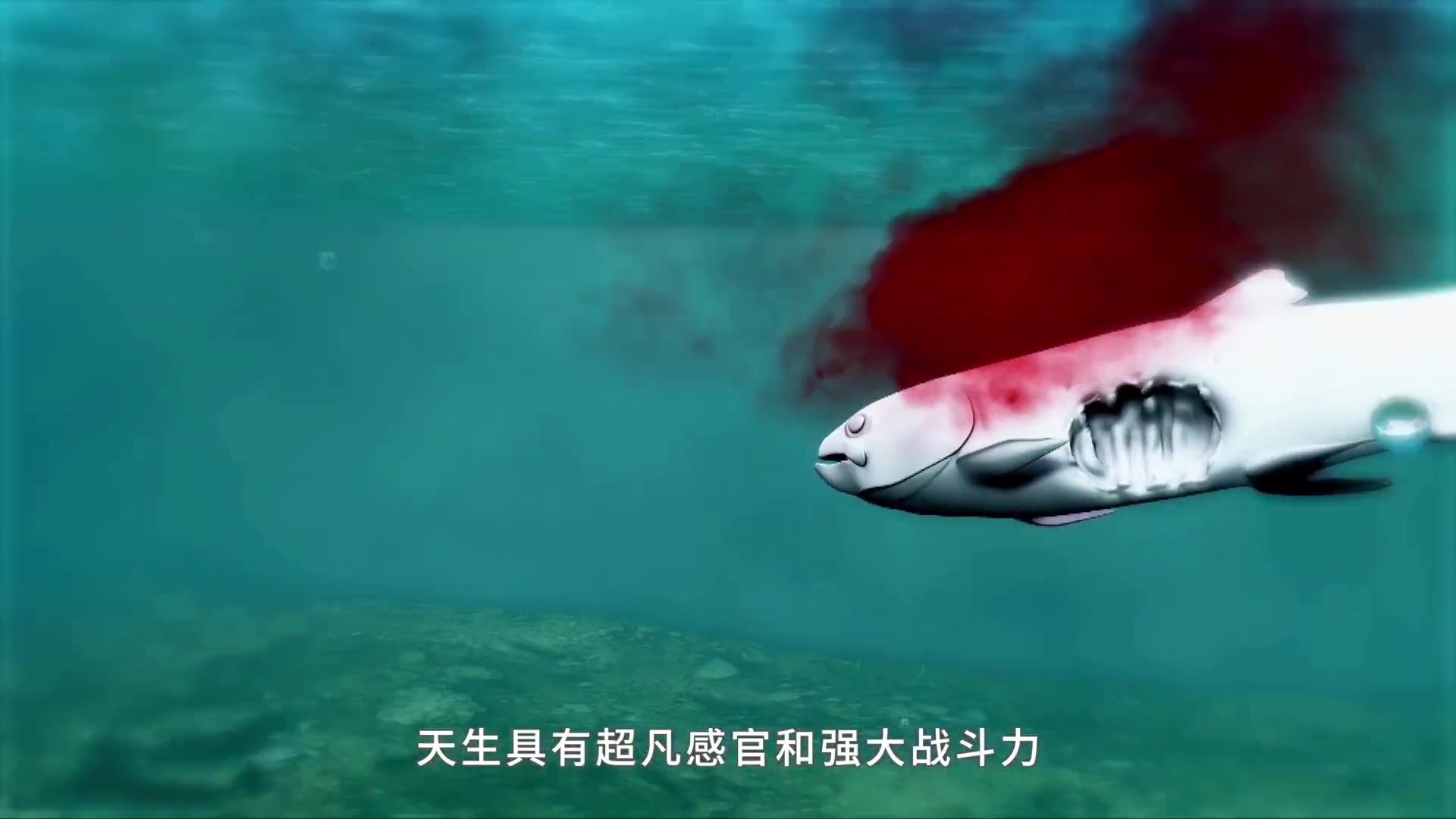 动物特种部队