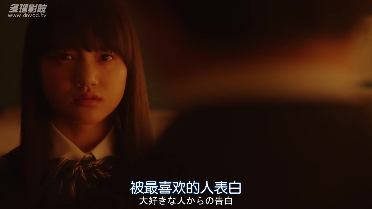 翱翔于天际的夜鹰