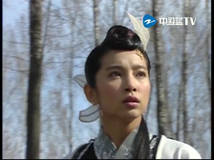 少年张三丰